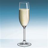 Champagne glass 香槟杯