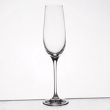 Champagne glass 经典香槟杯