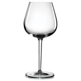17(OZ) Burgundy Red  wine glass 布根地红酒杯