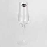 Champagne glass 热切香槟杯子