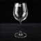 Red Wine Glass 21安波尔多红葡萄酒杯