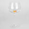 White wine glass (捷)560ml勃艮第葡萄酒杯